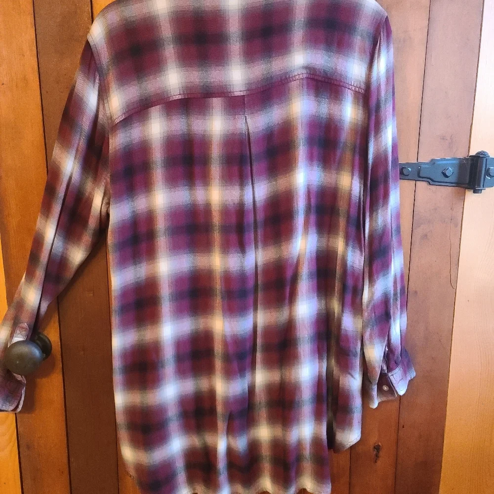American eagle - Picture 3 of 5